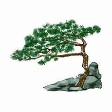 手绘松树线稿